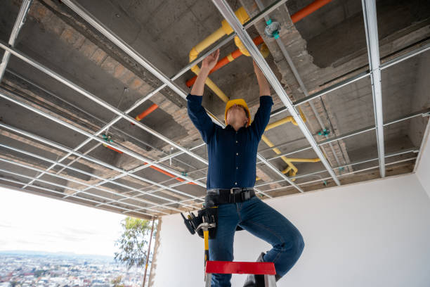Best Leak Detection Services  in Ronan, MT